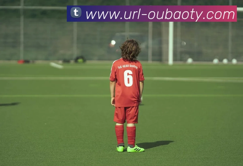 App Interface Preview