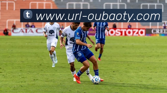 欧宝娱乐APP 封面图